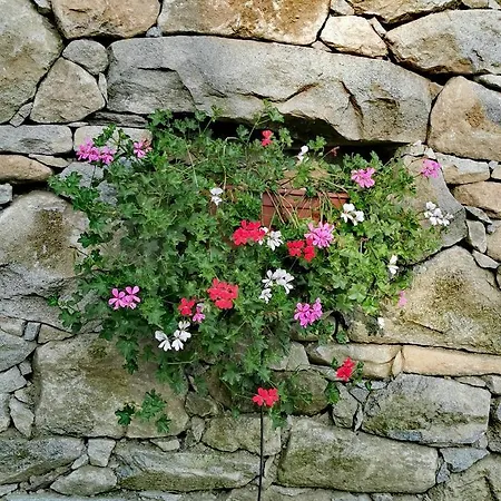 Baita Relais La Cesarina Σαλέ